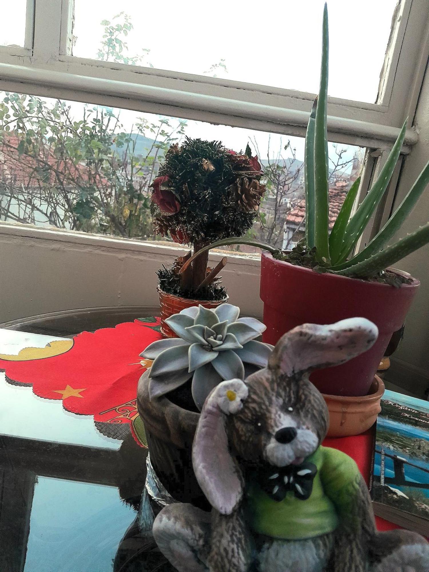 SiatistaTanias Houseアパートメント エクステリア 写真