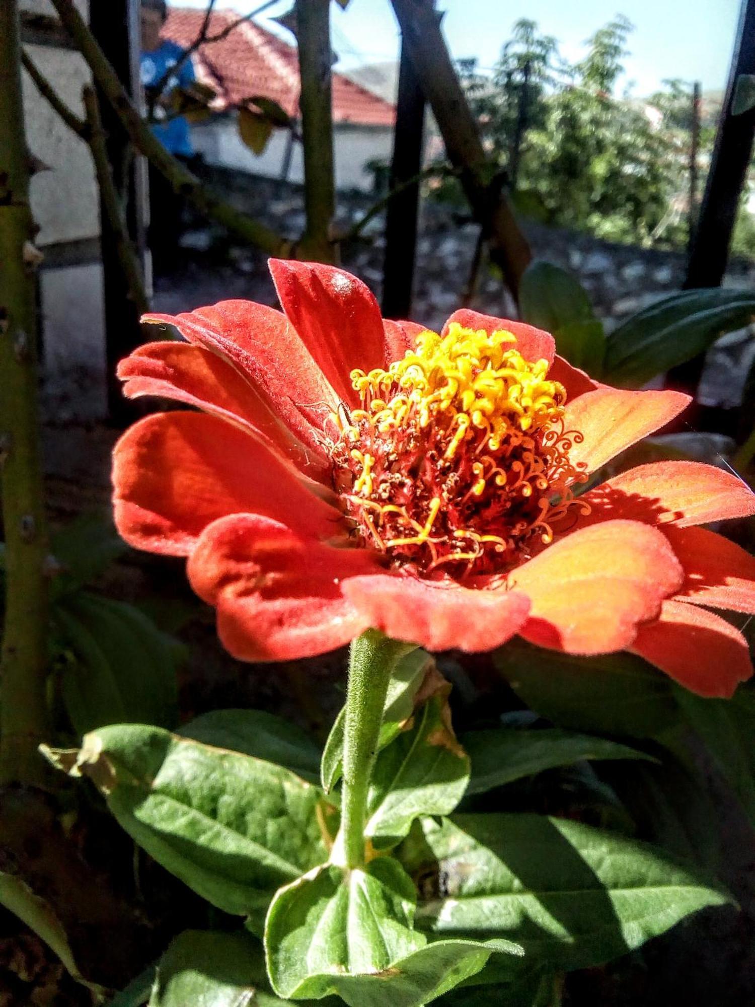 SiatistaTanias Houseアパートメント エクステリア 写真